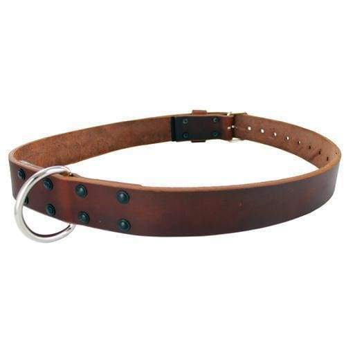 Gould & Goodrich Model 189 Restraining Belt | Five-O Depot